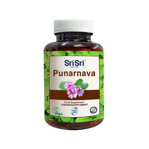 Punarnava_1024x1024.jpeg