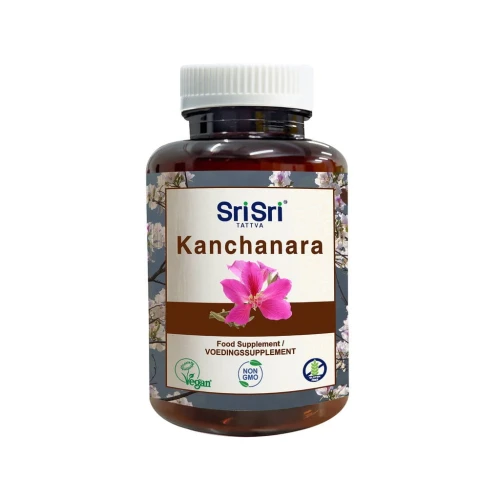 Kanchanara_1024x1024.jpeg