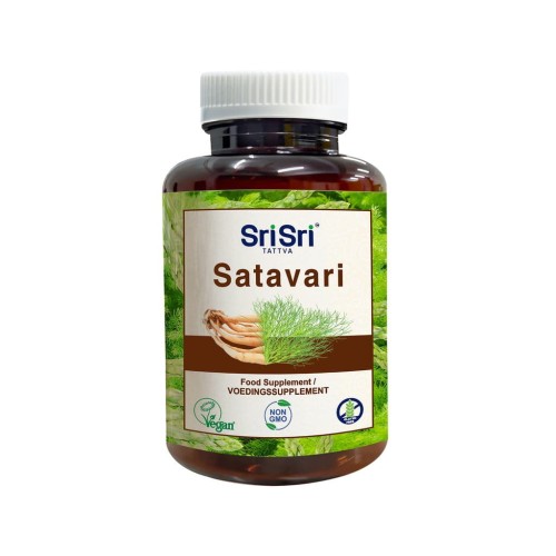 Satavari_1024x1024.jpeg