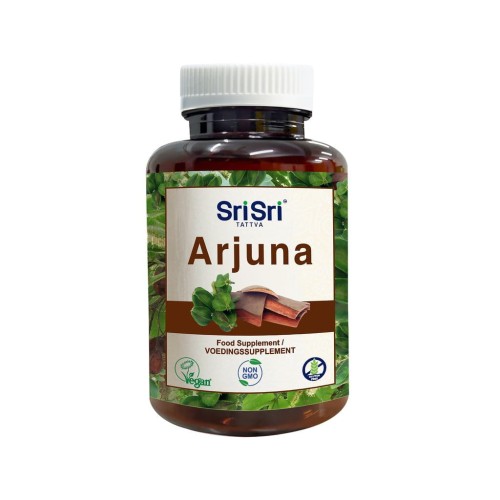 Arjuna_1024x1024.jpeg