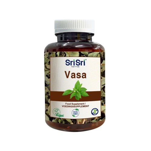 Vasa_1024x1024.jpeg