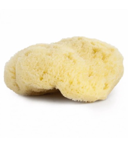 organiczna-gabka-z-morza-srodziemnego-9-10cm-najel.jpg