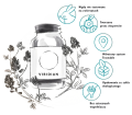 grafika-viridian.png