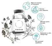 grafika-viridian.png
