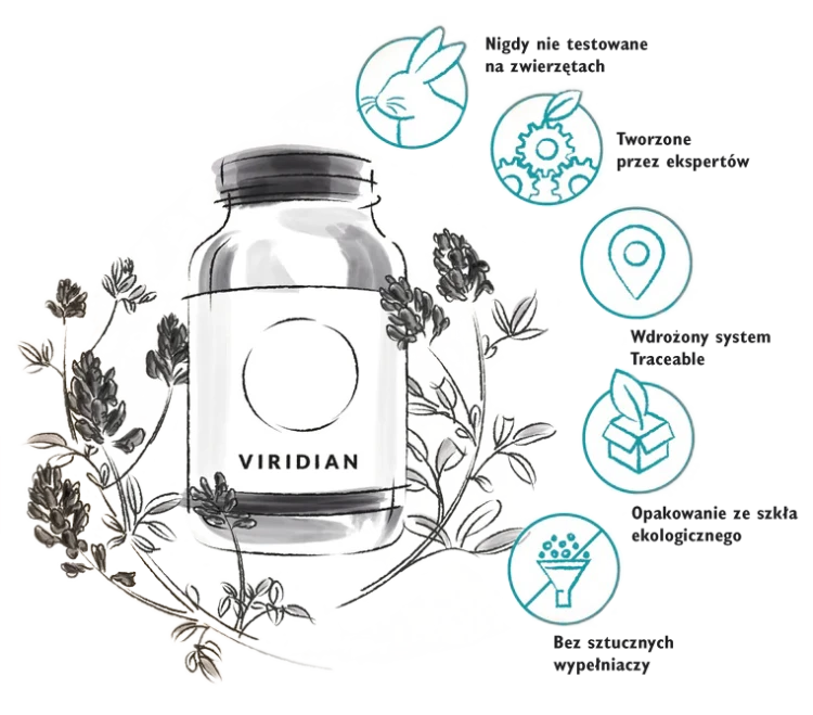grafika-viridian.png