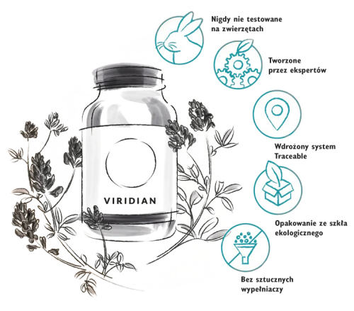grafika-viridian.png