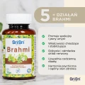brahmi.png