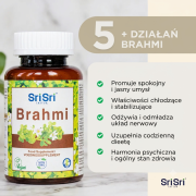 brahmi.png