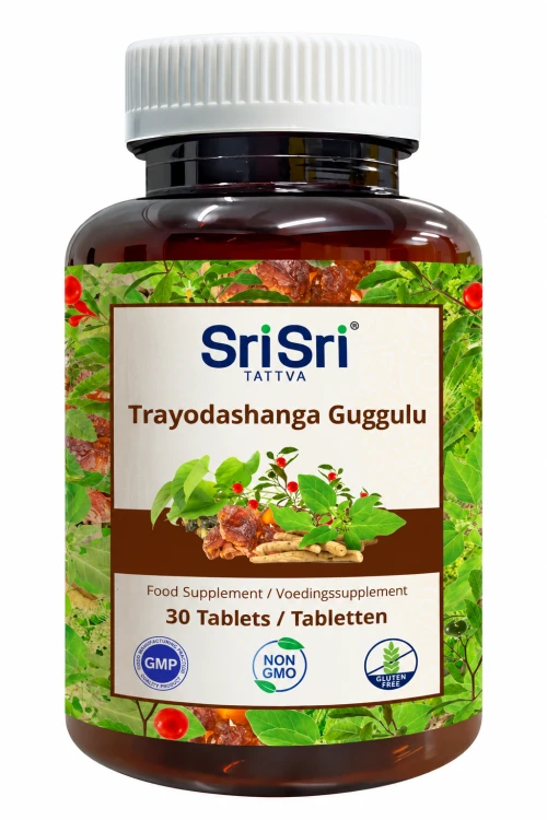 Ayurvedic Trayodashanga Guggulu Supplement Bottle.png